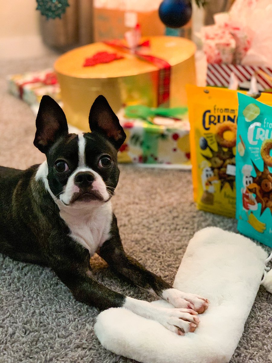 KatyEdenLong's tweet photo. ♥️ merry christmas, y’all ♥️ https://t.co/h2bA2bYUsE