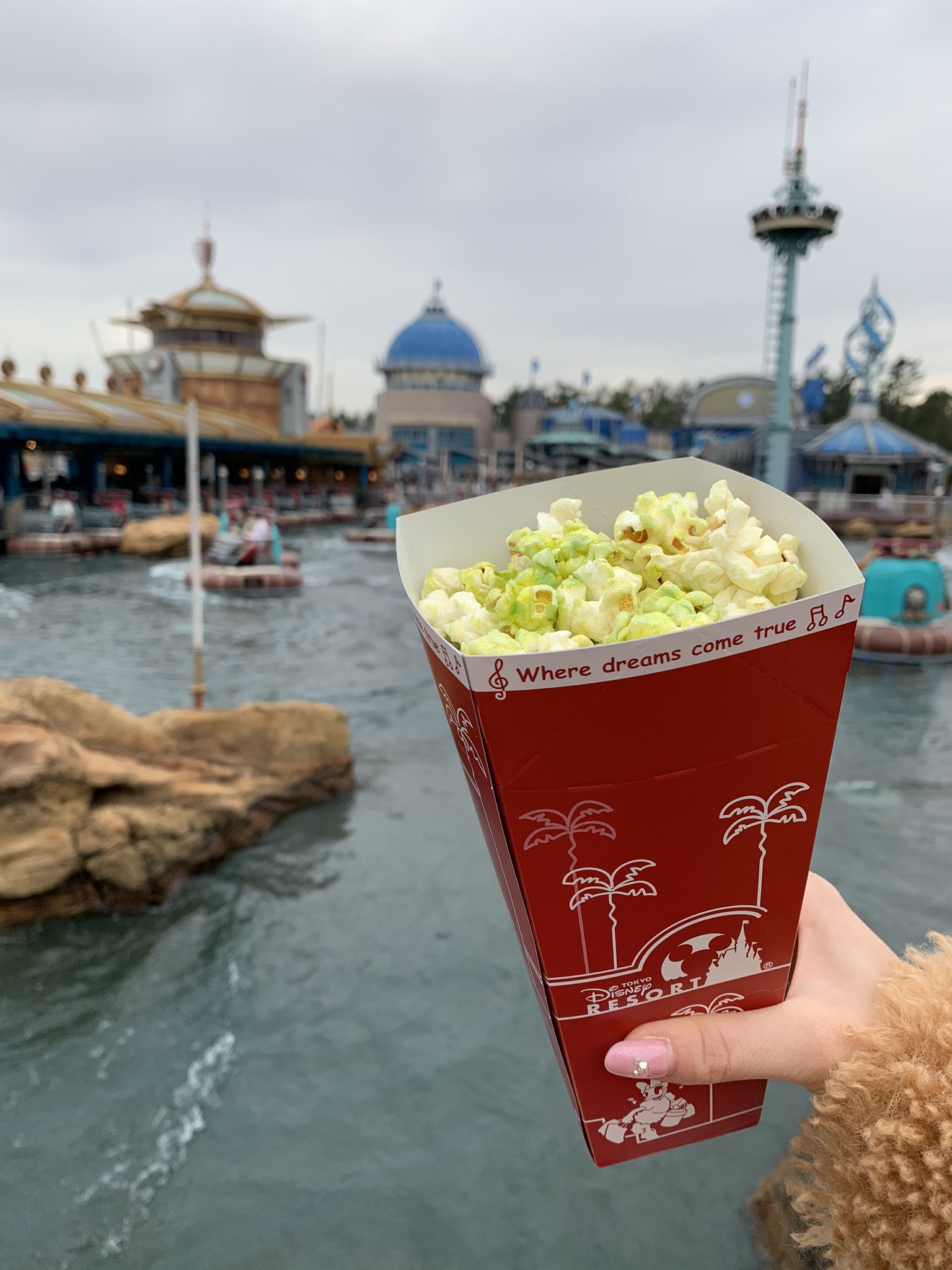 あいにゃん 今日からディズニーシーで発売された新フレーバー ポップコーンの抹茶 ホワイトチョコをゲストの中で一番初めに買って食べました 笑 味はホワイトチョコベースでほんのり抹茶の味と香りがするよ 色の濃いところを食べるとより抹茶を感じられて