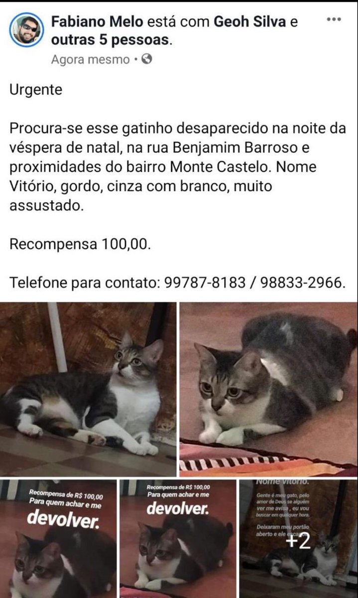 pessoal de Fortaleza, RT por favor. é do meu irmão.