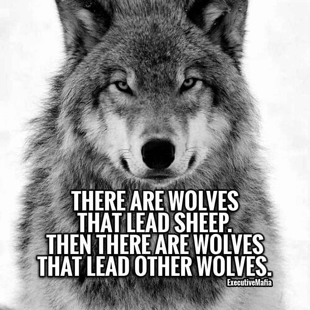 SuccessGridOff's tweet image. Which one are you 🐺🐺
👇👇 Let me know 👇👇
-

#mindsetquote #Mindset #Successquotes #Dailymotivation #Lifequote #Mindsetshift #Positivemindset #Positive #Motivation #Inspiration #Goals #Inspire #Lawofattraction #Entrepreneur #Quotestoliveby #Motivationalquotes #Dailyquotes