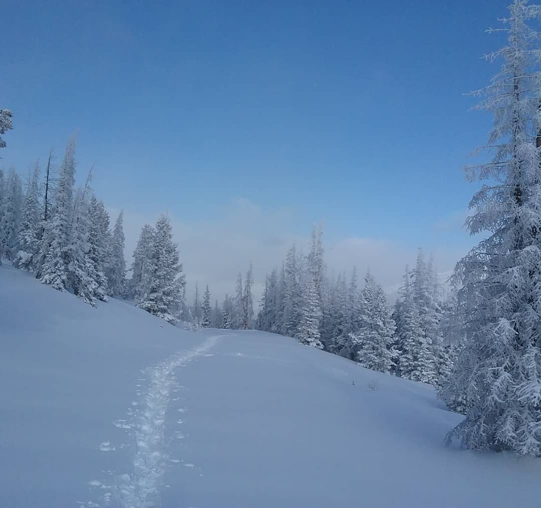 WA_Rafting's tweet photo. If you can't be rafting over the holidays, why not enjoy a beautiful Colorado hike?  
•
PC: @clintonbellingar 📸Thanks for sharing your photo with #InARaft!
#coloradowinter #snowshoeing https://t.co/BmtQiTVT49