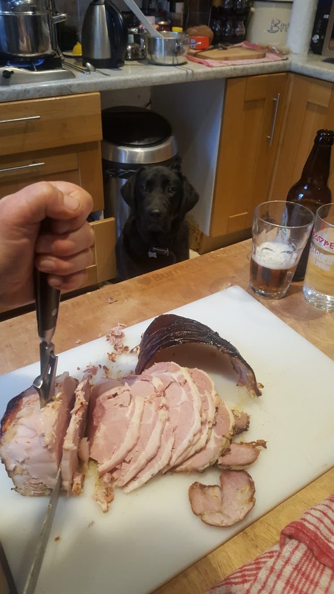streetfoodchef's tweet photo. #hamoff @MossValley @Omemade I think I win with a bbq @HendoRelish and fennel sauce 🥳 https://t.co/6KoLnMu323