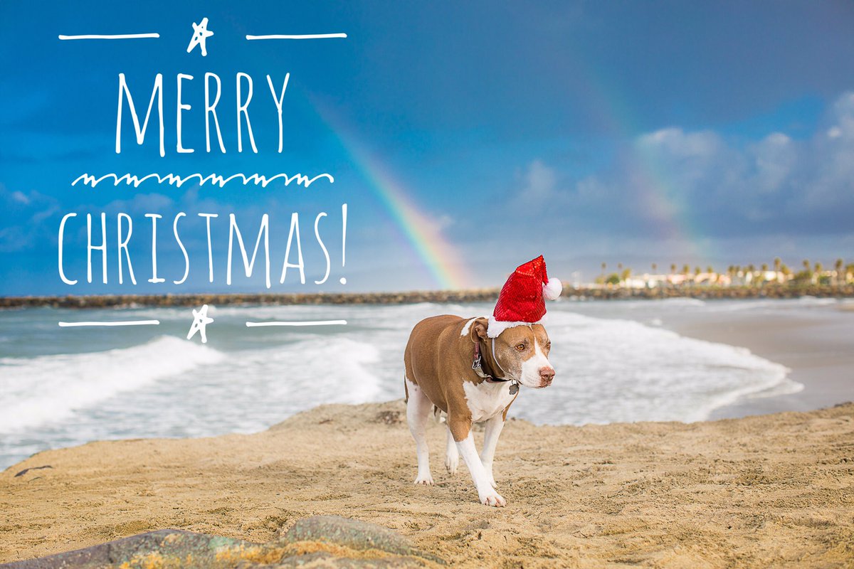 Eder Photo (@ederphoto) on Twitter photo 