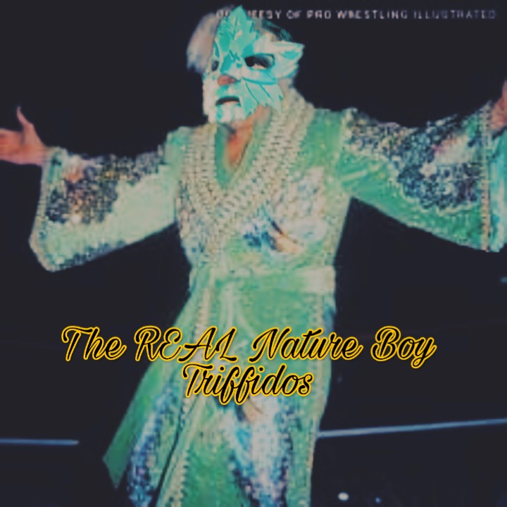 Triffidos🌲 tweet media