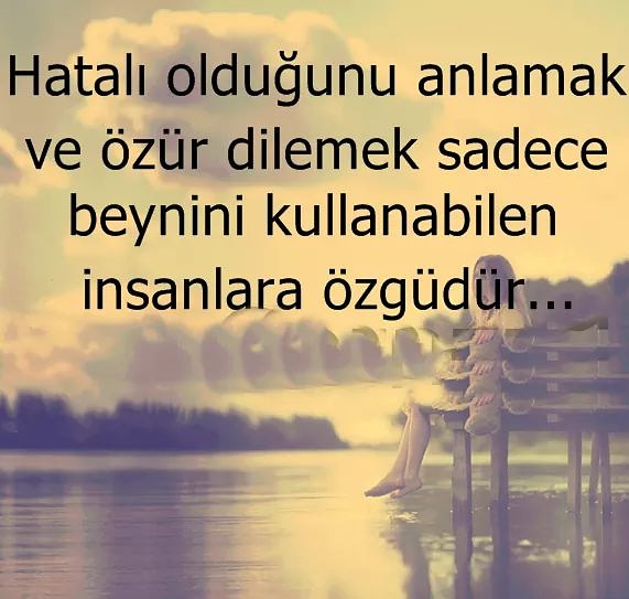 RIDVAN AYEŞ (@ayesridvan) on Twitter photo 