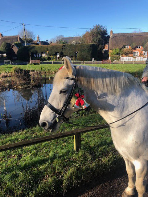 ph_justice's tweet photo. Merry Xmas everyone. Went for a little stroll around the village, stopped off at the pub for a quick pint, then back home for some grass and Xmas dinner https://t.co/kAe5RBj7mh