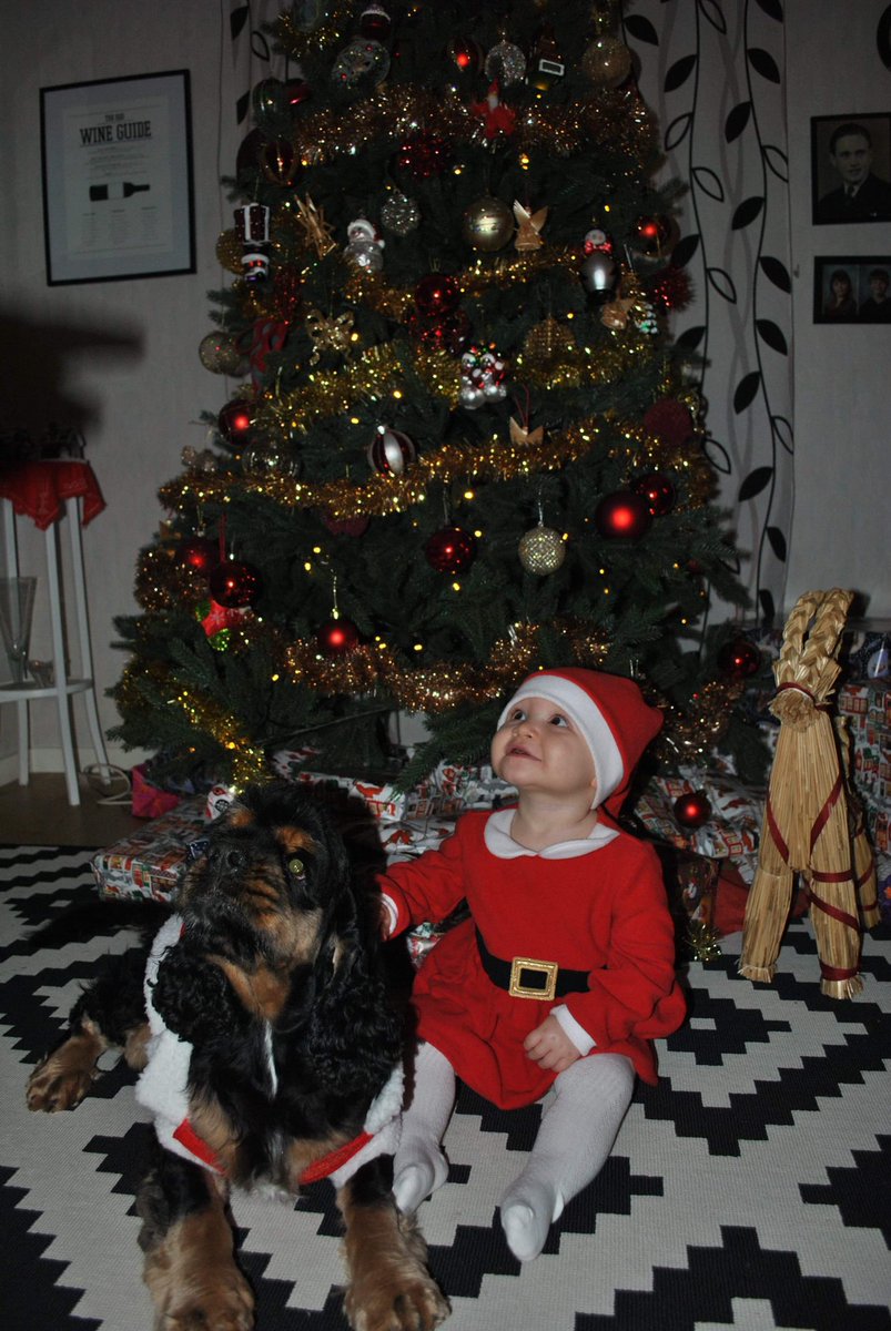 Merry Christmas and Happy Holidays from Santa's little helpers 🥰