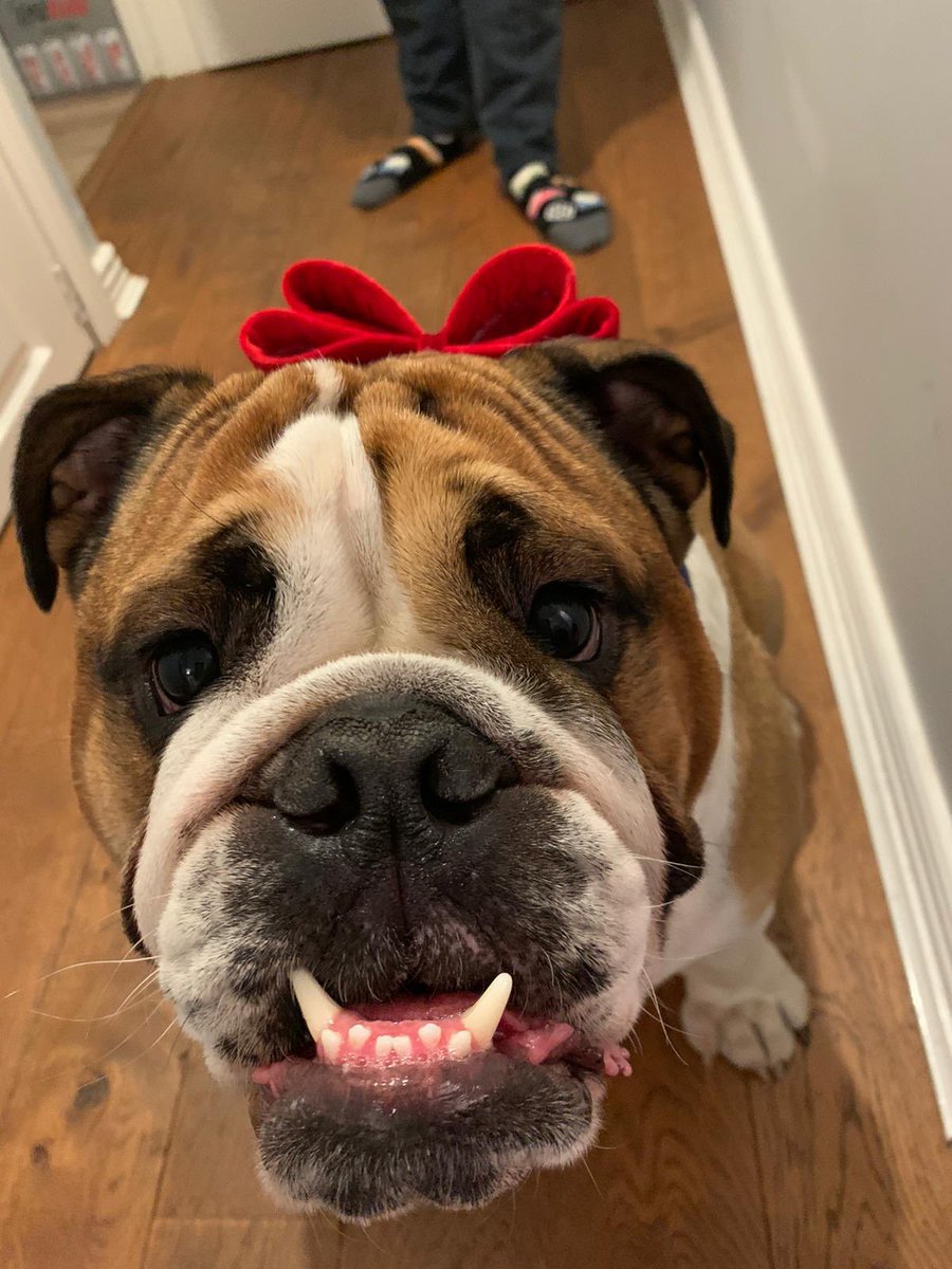 TommyD2012's tweet photo. Merry Christmas all! https://t.co/DzWk2bpcA8