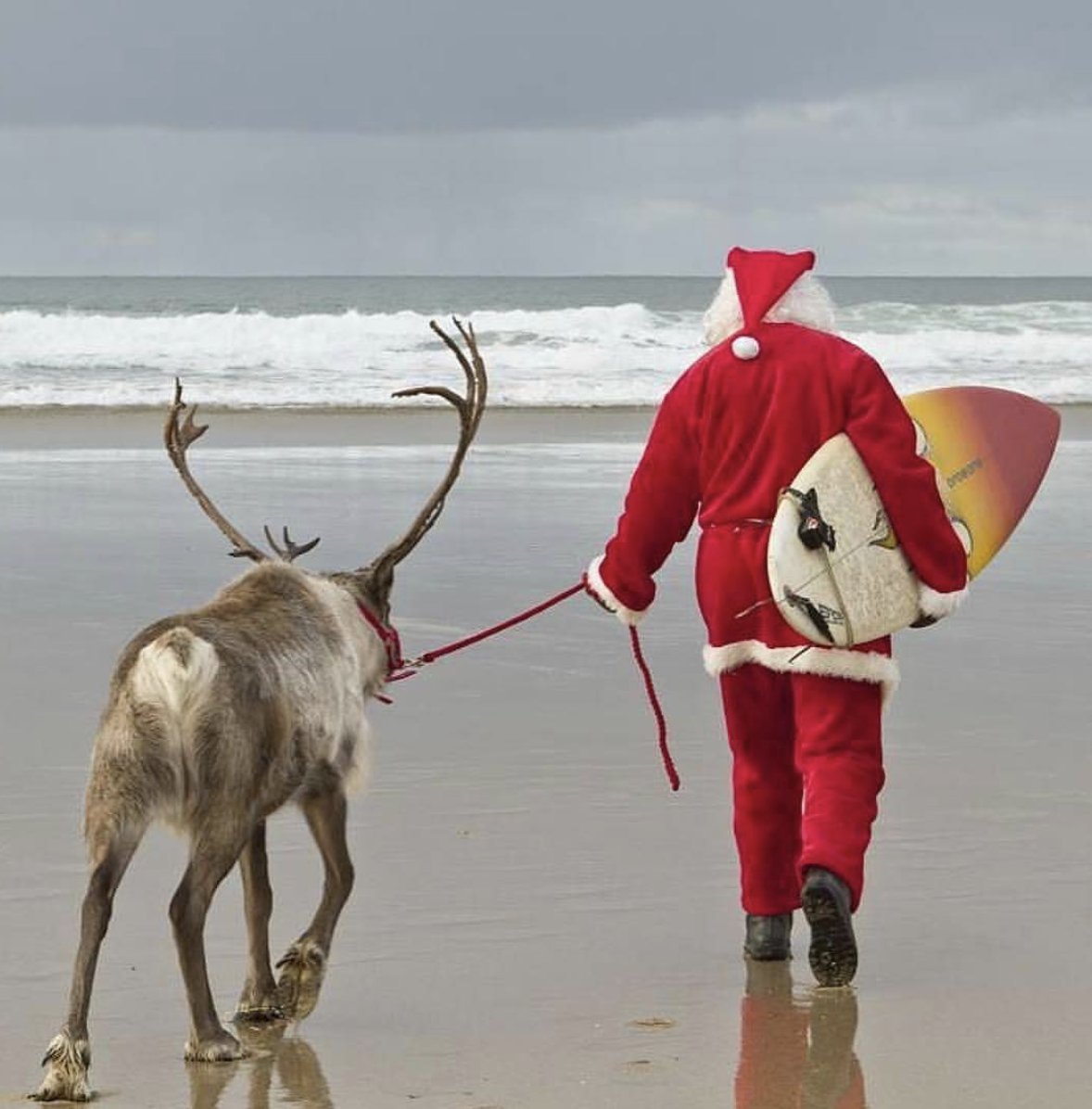 AltaHouseHB's tweet photo. Happy Holidays from all of us at Ocean Bar!
.
.
.
.
#oceanbarhb #hermosabeach #southbay #southbaylocal #california #downtownhermosabeach https://t.co/qmC9OCDRCZ
