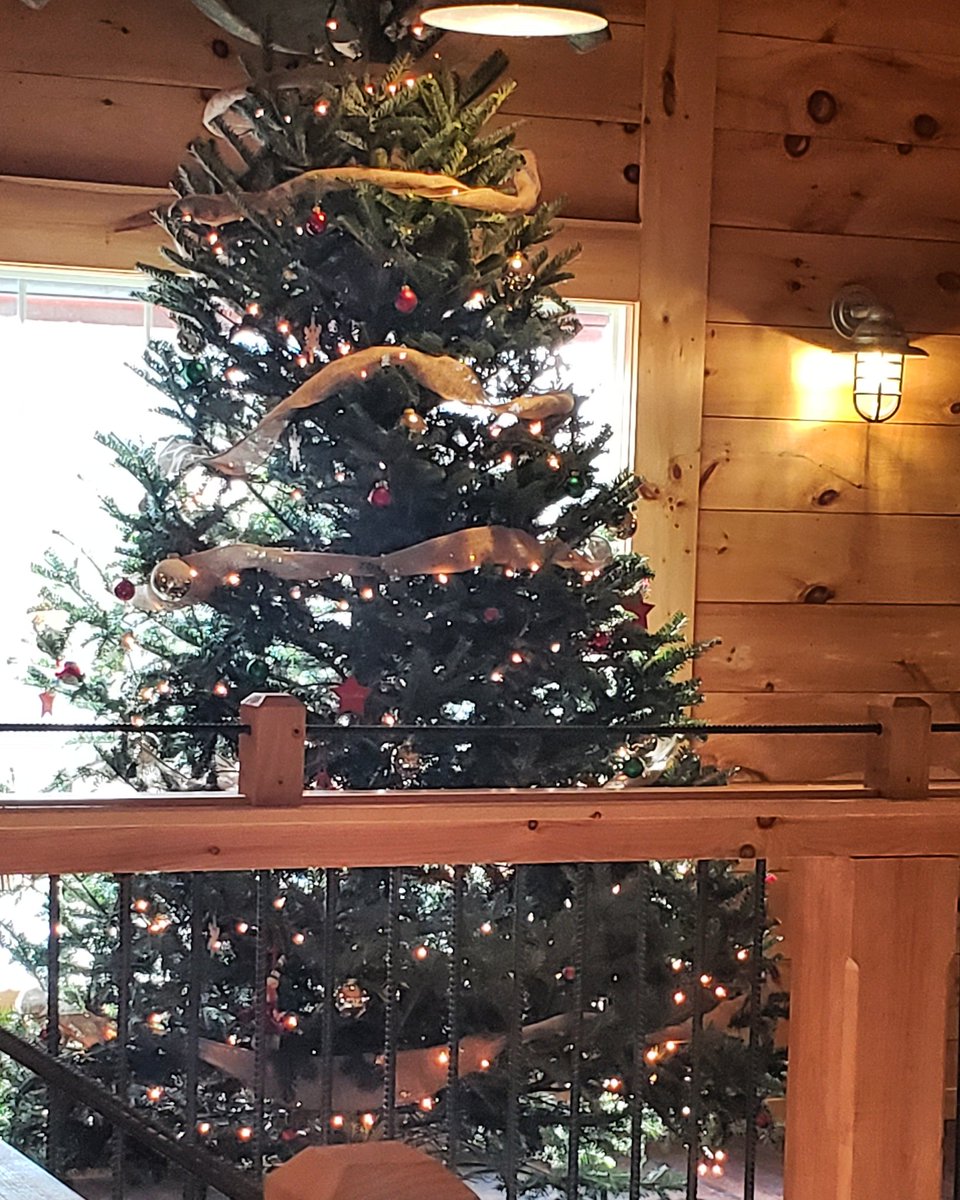 afchampagne09's tweet photo. Merry Christmas!!🌲🌲🌲🌲 https://t.co/WnnkdXJEfZ