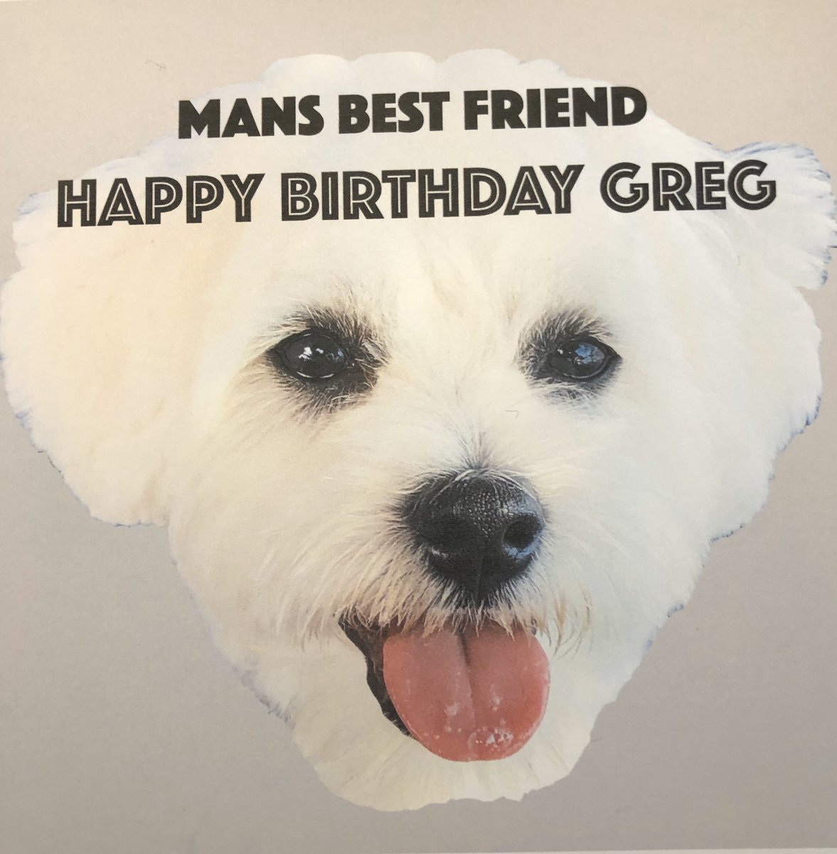 deepexperience1's tweet photo. Thanks to @rrjsurface for Casper’s amazing Christmas presents and her brilliant designs, including my birthday card yesterday! https://t.co/O17WuvW5yB