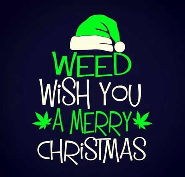 blazeman_bud's tweet photo. Merry Christmas to all my fellow stoners. Much love and positivity to everyone 🎄🍻 https://t.co/2ZZiN4ZI0e