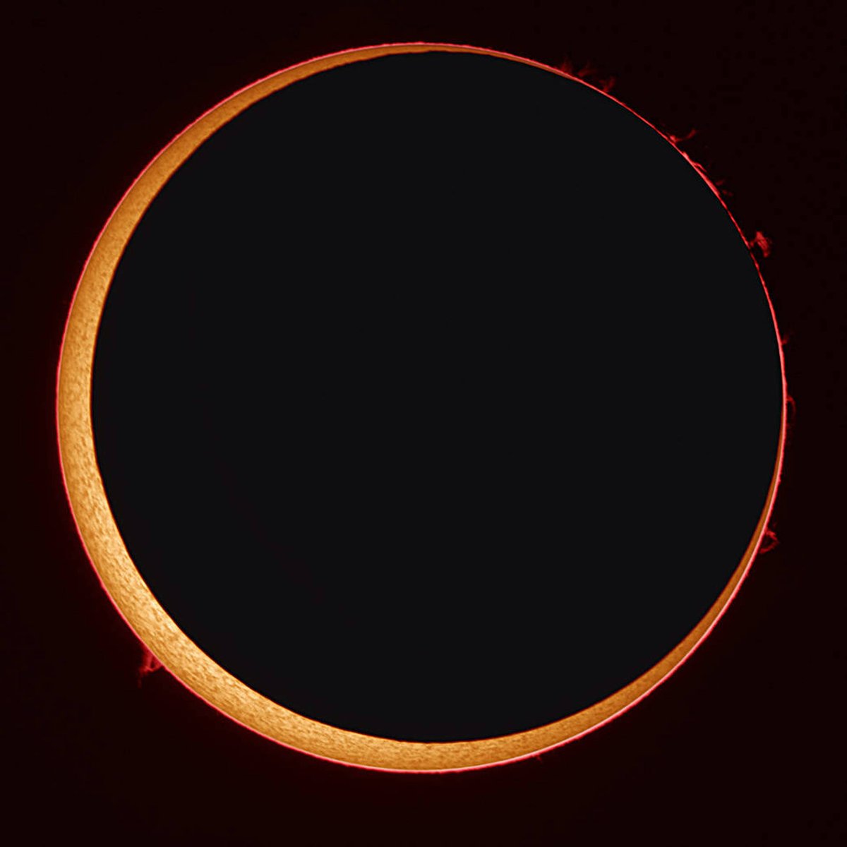 CosmoSapiens tweet media