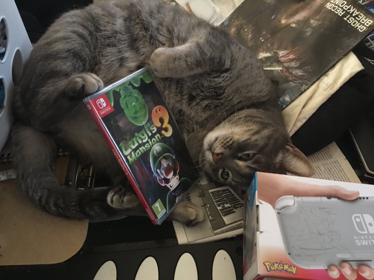 I got luigis mansion 3 and a switch lite for christmas for being a good kitty this year!
