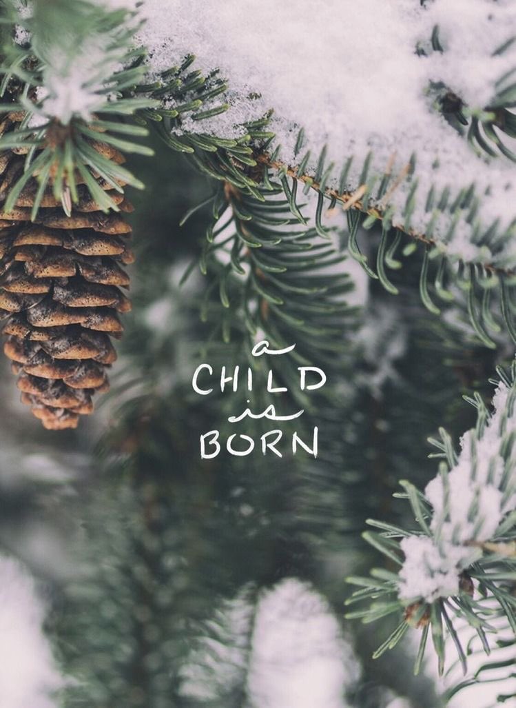 “For unto us a Child is born, Unto us a Son is given; And the government will be upon His shoulder. And His name will be called Wonderful, Counselor, Mighty God, Everlasting Father, Prince of Peace.”
Isaiah 9:6 

We wish everyone a Merry Christmas!