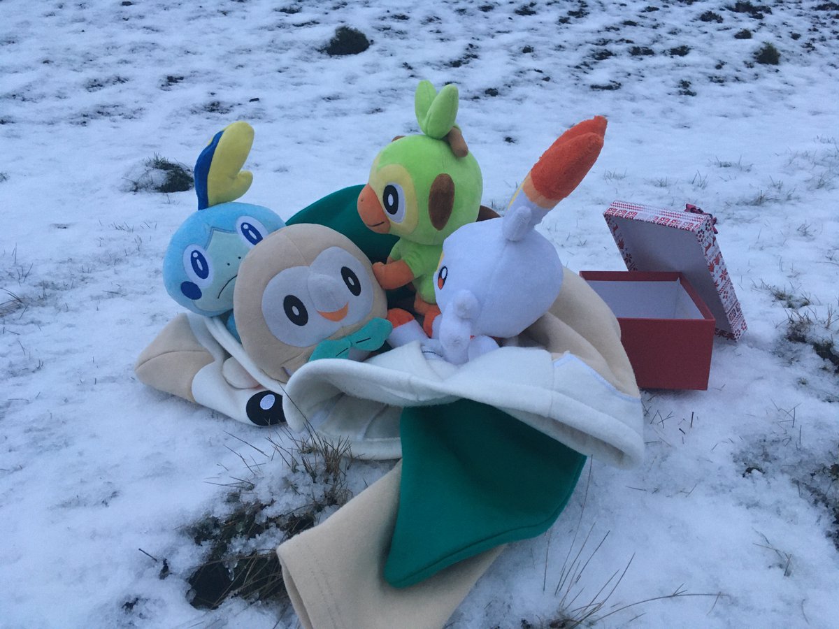 rowletbot's tweet photo. https://t.co/G97XyZO7GC