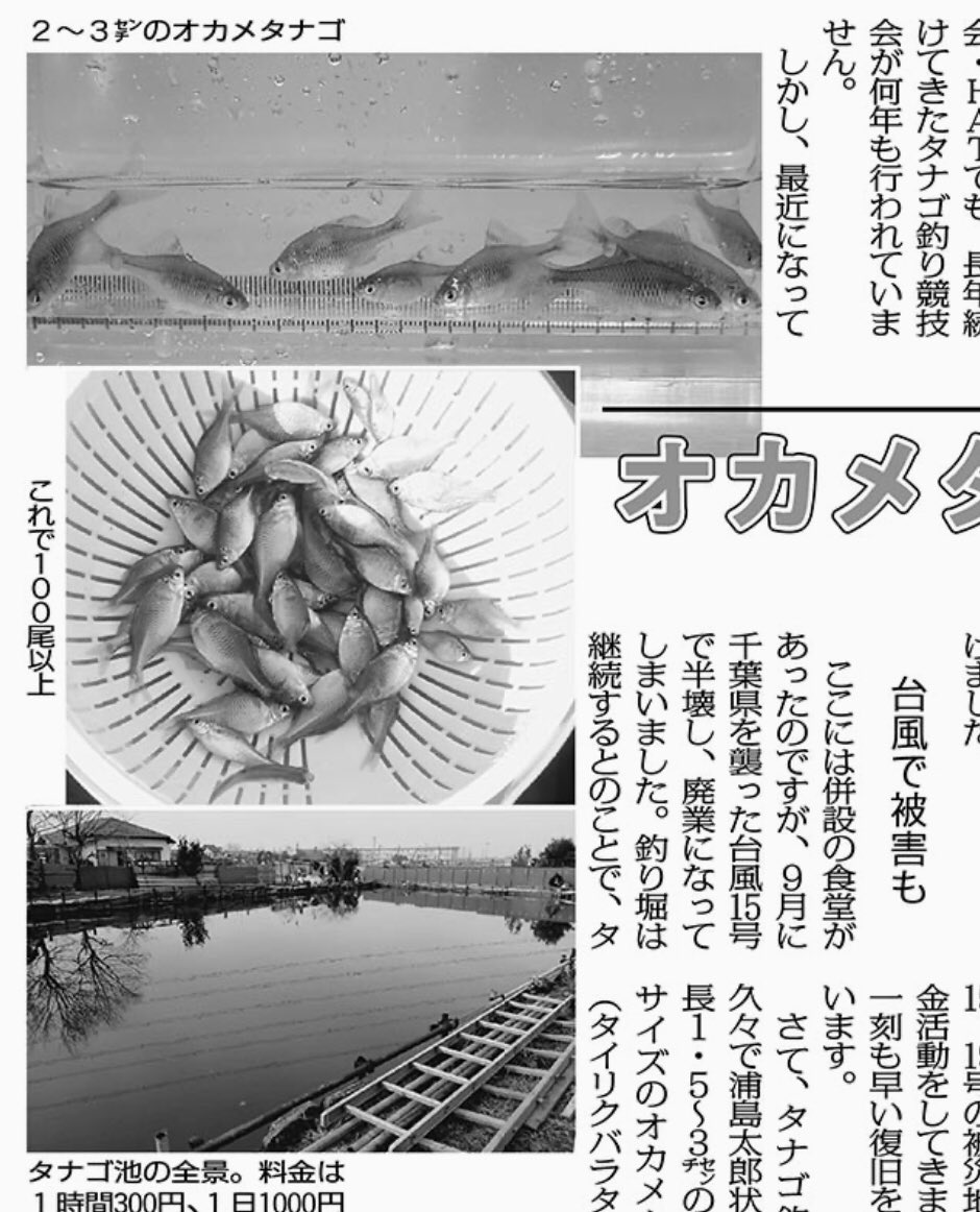日本共産党千葉県委員会 長年続けてきたタナゴ釣り競技会が何年も行われていません しかし 最近になってタナゴ専用の管理 釣り場 釣り堀 の情報が耳に入ってきました 千葉県市原市の 市原園つり堀センター に12月上旬 hatの仲間4人で出かけ