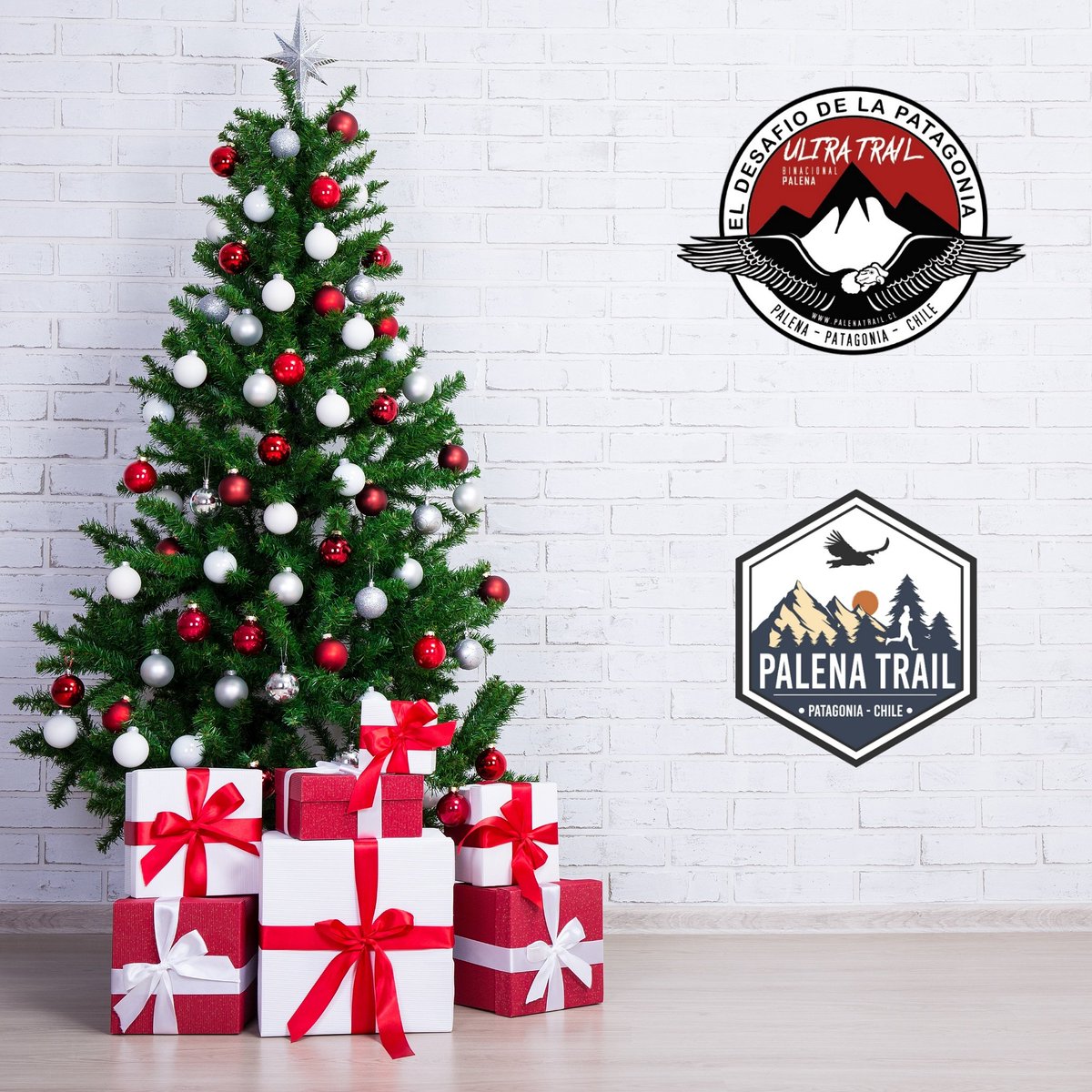 UTBPalena's tweet photo. En esta Navidad Palena Trail les desea el más afectuoso saludo navideño, a todos y todas.🏃🏻🏃🏼‍♀🏔🇨🇱🇦🇷

Disfruten la Navidad querida familia del Trail Running, los esperamos 🎅🏻🤶🏻 
#TrailRunning #Trail #Running #TrailRunningChile 
#Running #Run #RunningChile #Ultra #UltraTrail https://t.co/tyoFDlKruF