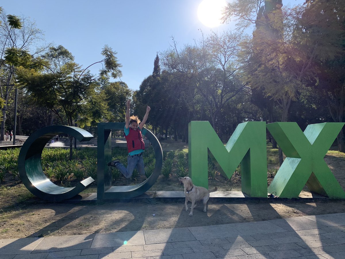 MerinoCNN's tweet photo. Dando la vuelta en #chapultepec con #ToribiaLaBigotona #Labrador #dogsofinstagram #dogs #dogstagram #ladbible #9gag #dogmemes #DogsOfInstagram #weeklyfluf #dudesanddogs #Perrhija #Bigotes #ToribiaLaNavideña #HolaHolaCómoLeVaHermosura? https://t.co/esyBU0rX6l