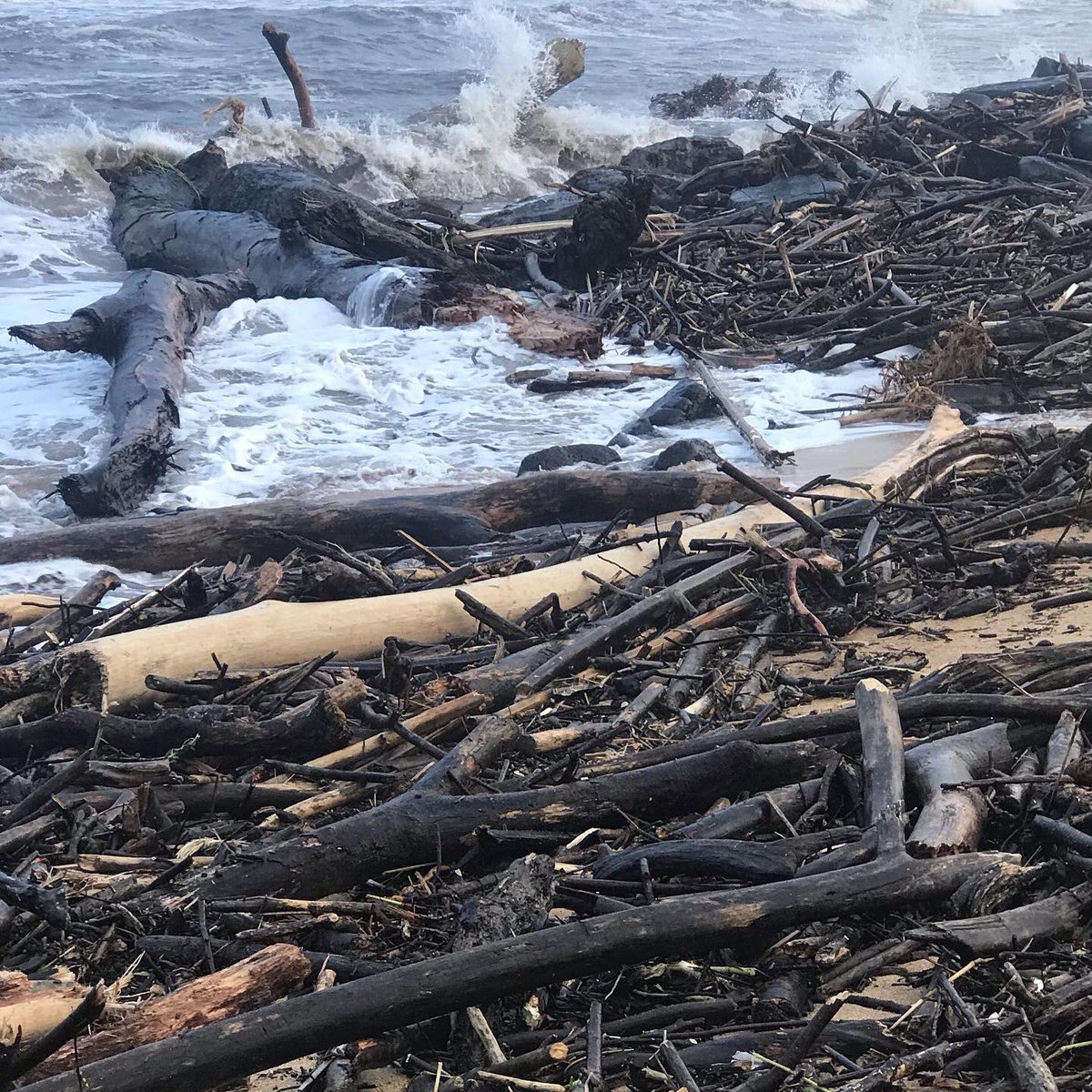 gusnfrank's tweet photo. #Kauai #kauaistorms #kauaichristmas #islandchristmas #kauaiflood #schaferchristmas #schafershitshow #melekalikimaka #islandlife #cbd605 #cbdmamas https://t.co/CbyLagpvi0
