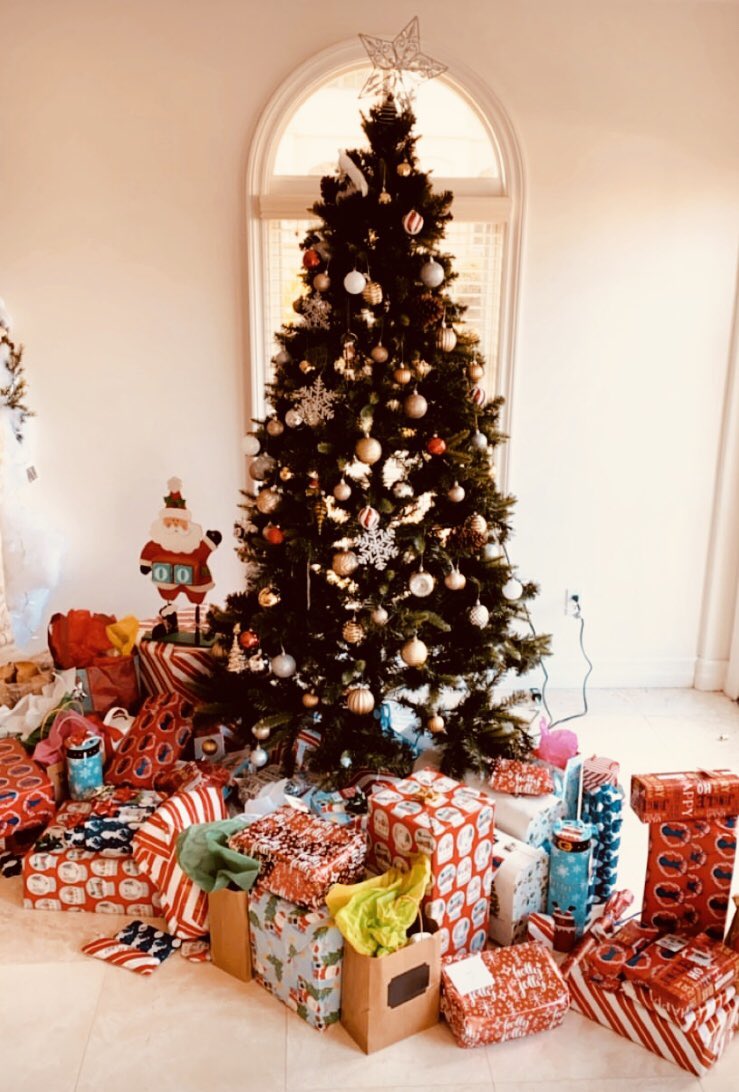 richardchew's tweet image. Wish you all a very #MerryChrismas and #happynewyear2020 ! #enjoy the journey #besafe and may all your wishes come true !
