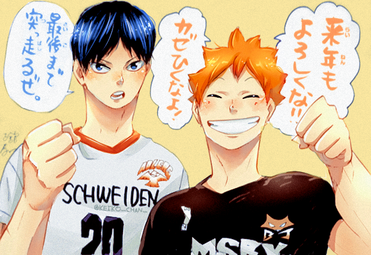 Kageyama Tobio                                          Hinata Shouyou
Schweiden Adlers                                      MSBY Black Jackals
#Haikyuu 