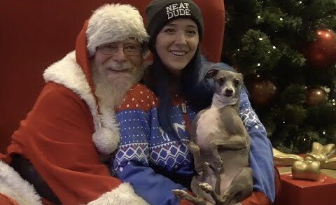 eeybby123's tweet photo. merry christmas to everyone if you celebrate &amp; hope y’all have a great holiday. ❤️🎄🎁 https://t.co/4F3yFpBYGO