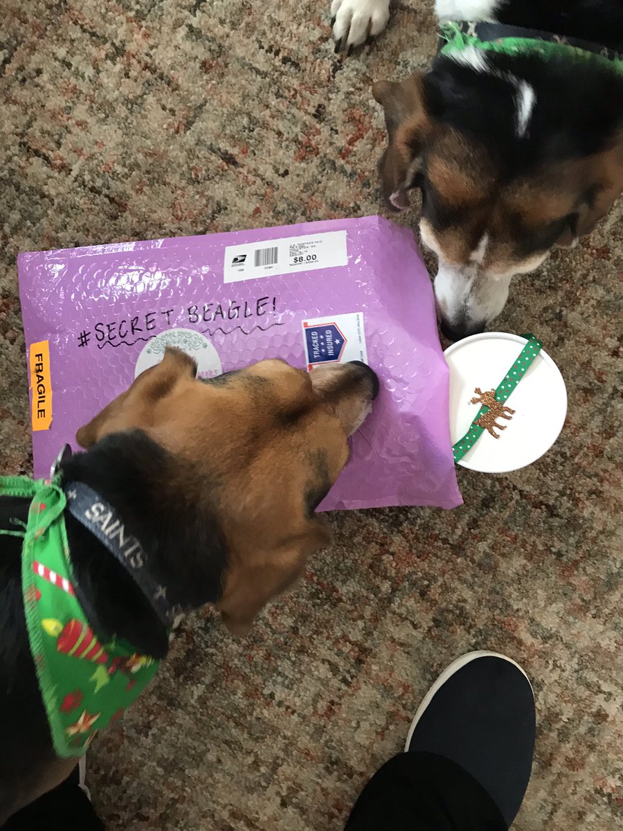 OMD!! We got the best #SecretBeagle2019 pressie!! Yummy Sweet D treats!! #SecretBeagleReveal