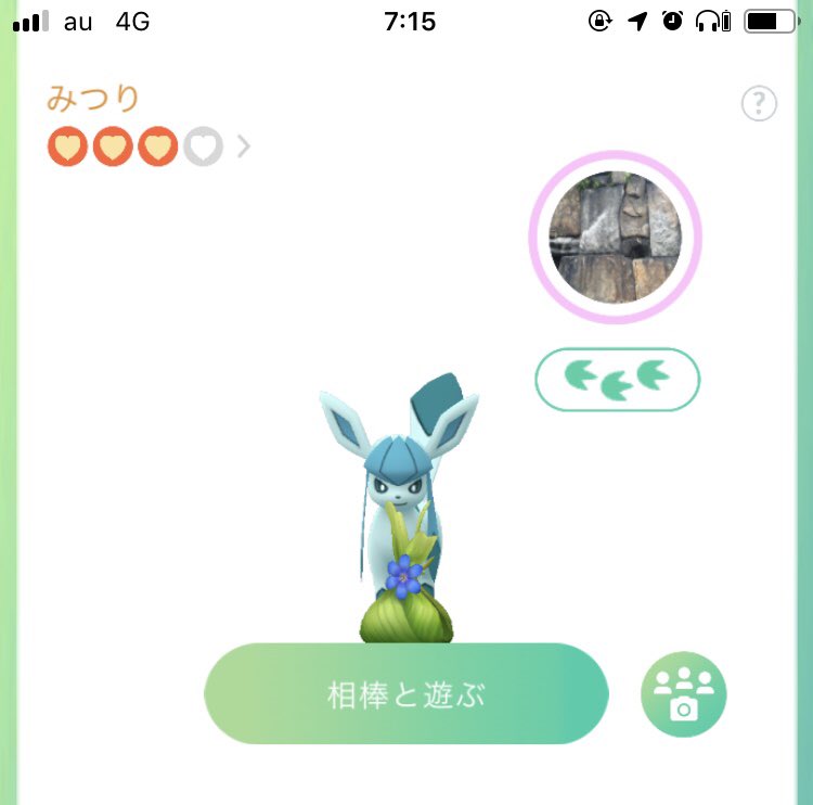 破れたチケット ポケモンgo