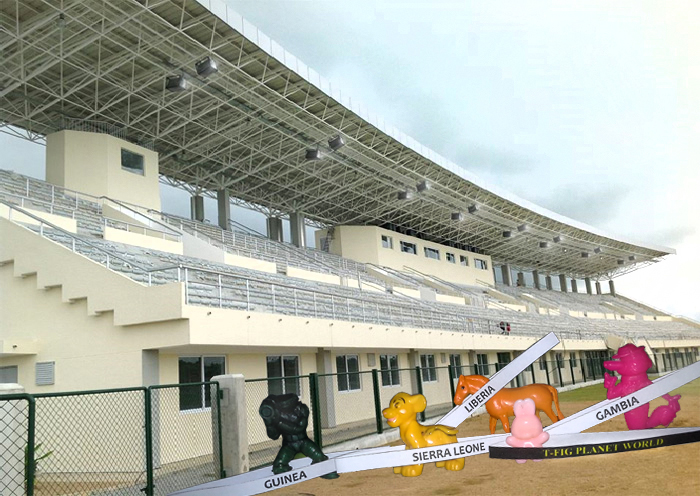 missplanetworld's tweet photo. Some T-Figs [🇬🇳🇸🇱🇱🇷🇬🇲] and our Current #TFigPlanetWorld posed into the #Bo Stadium 🏟️ https://t.co/oxZm2zrhqJ