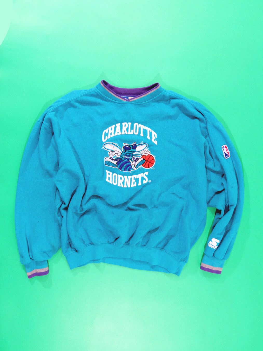 Vintage 90s Charlotte Hornets Sweatshirt Jumper Crewneck 