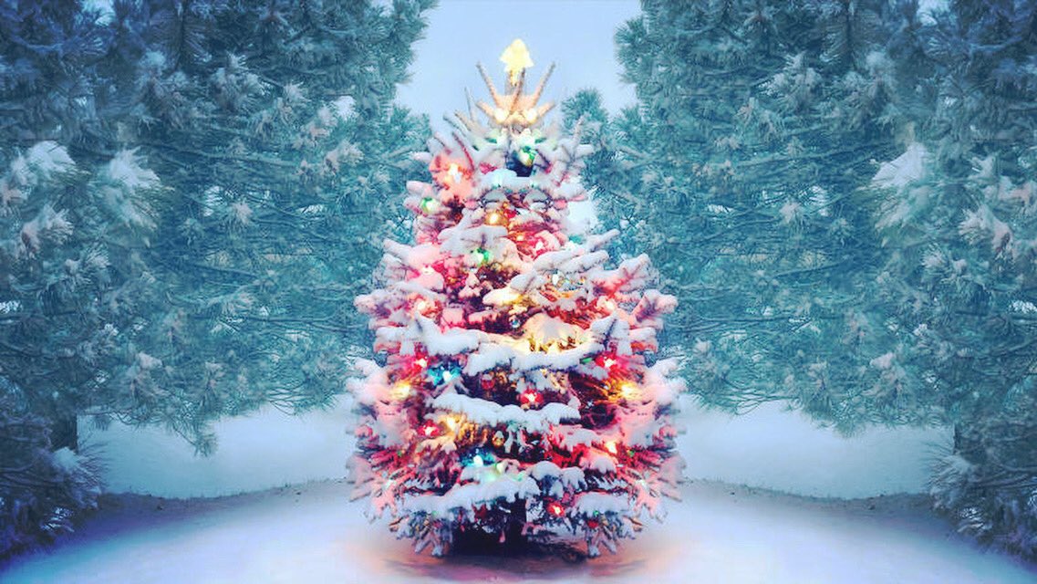 blossom_nc's tweet photo. Happy holidays!🎄☃️✨
Thank you for your support during this year and wishing you all a happy, healthy and successful year ahead. 🌟
❄️ P.S. ❄️❄️Winter Sale❄️❄️ starts tomorrow! ✨
#blossomcosmetics #natureisbeautiful #crueltyfree #vegan #merrychristmas #wintersale #boxingdaysale https://t.co/ykQQdaxdNg
