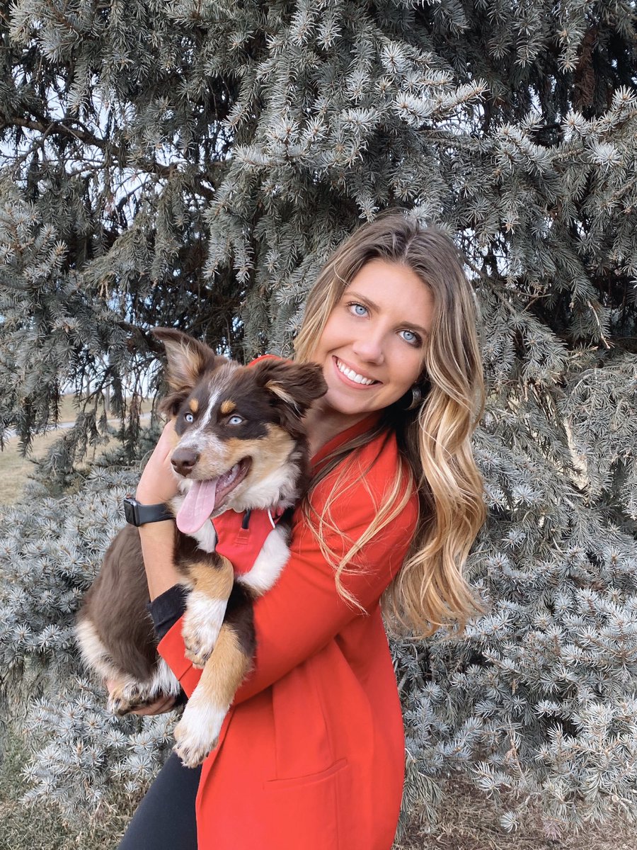 AlyssaScholz's tweet photo. 🌟 very merry https://t.co/xDwgK5crJm