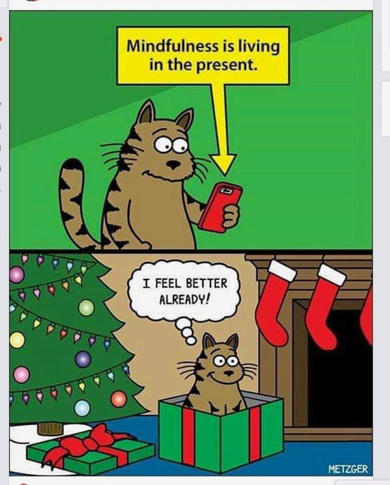 LMBarbato's tweet photo. 📸 @ScottMetzgerCartoons https://t.co/3ms8Jh2Fjc