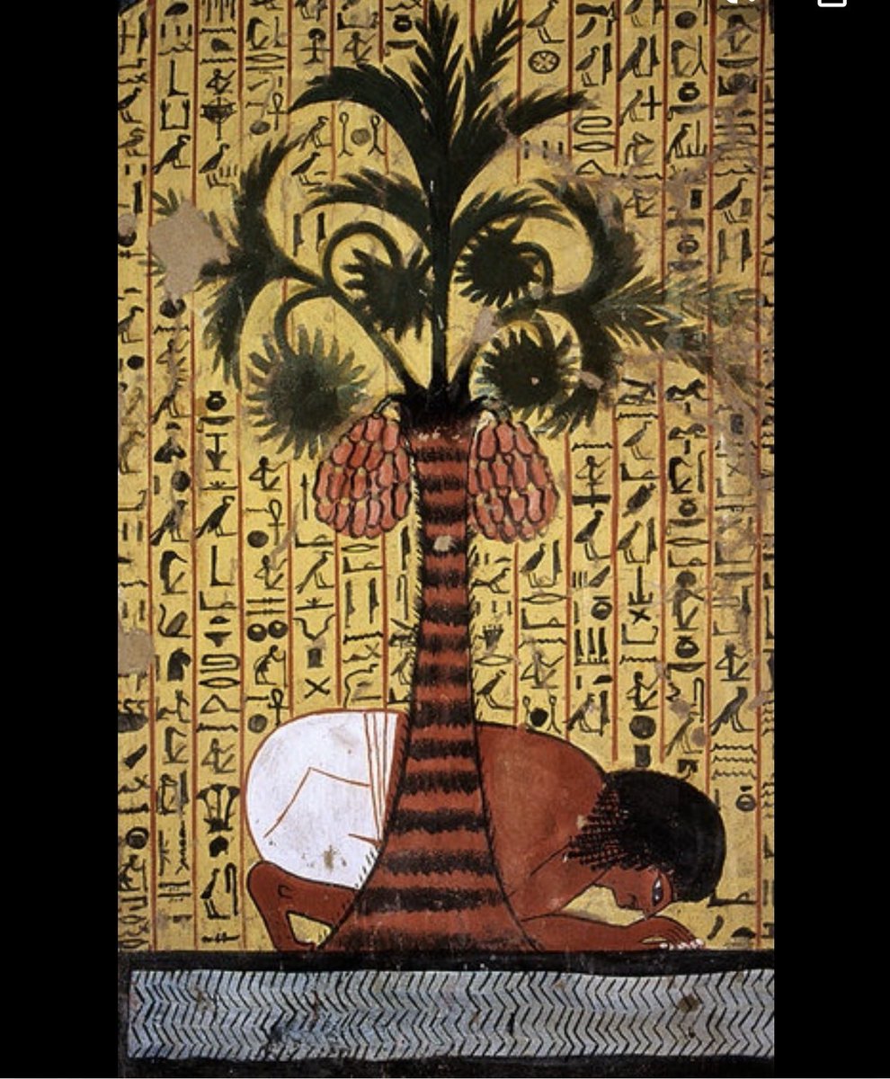 The Winter solstice is why u have a Christmas today, not bc of “Christ”. In Egypt, there were gifts laid under palm trees during the winter solstice. In Mesopotamia & many other societies u have12 day winter festivals and this is the origin of your “12 Days of Christmas” carols