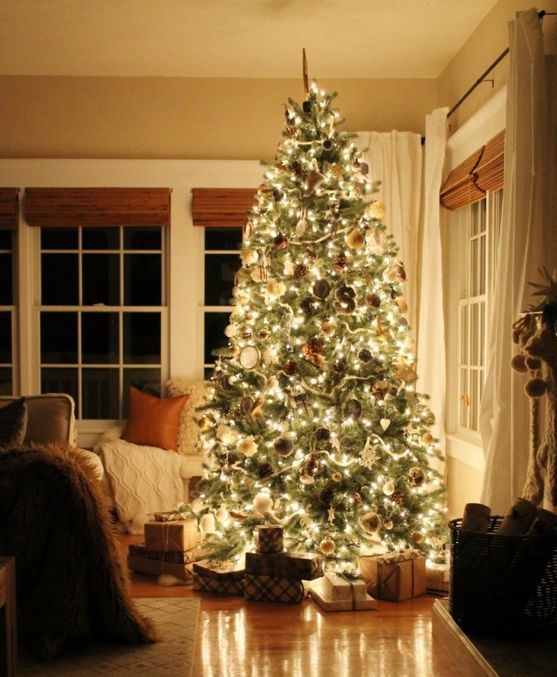 ₂₅.₁₂.₂₀₁₉

    𝒰𝓃𝒹𝑒𝓇𝓃𝑒𝒶𝓉𝒽 𝓉𝒽𝑒 𝓉𝓇𝑒𝑒. 🎄

        ᴍɪʟʟꜱ ɴᴇᴜʙᴀᴜᴇʀ ꜰᴀᴍɪʟʏ.