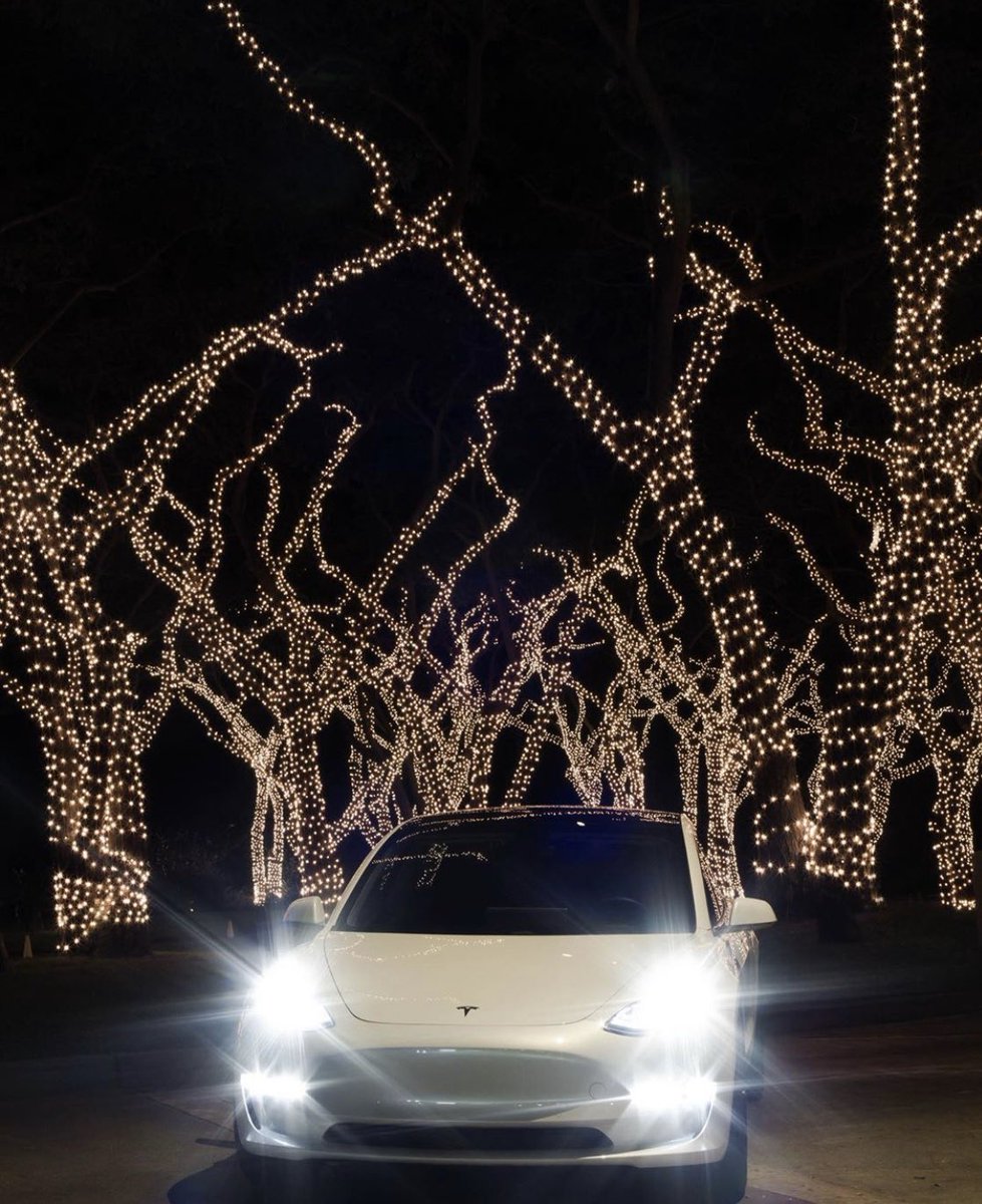 mymodl3's tweet photo. At the end of the day, may you find Peace in the calm beauty that surrounds us. #365Model3 Photo #359 credit to elsathetesla on Instagram #Tesla #TeslaModel3 #Model3 https://t.co/BPfedFFYai