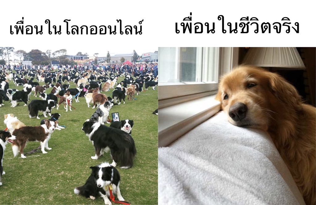 คนอยากเขียน. tweet media
