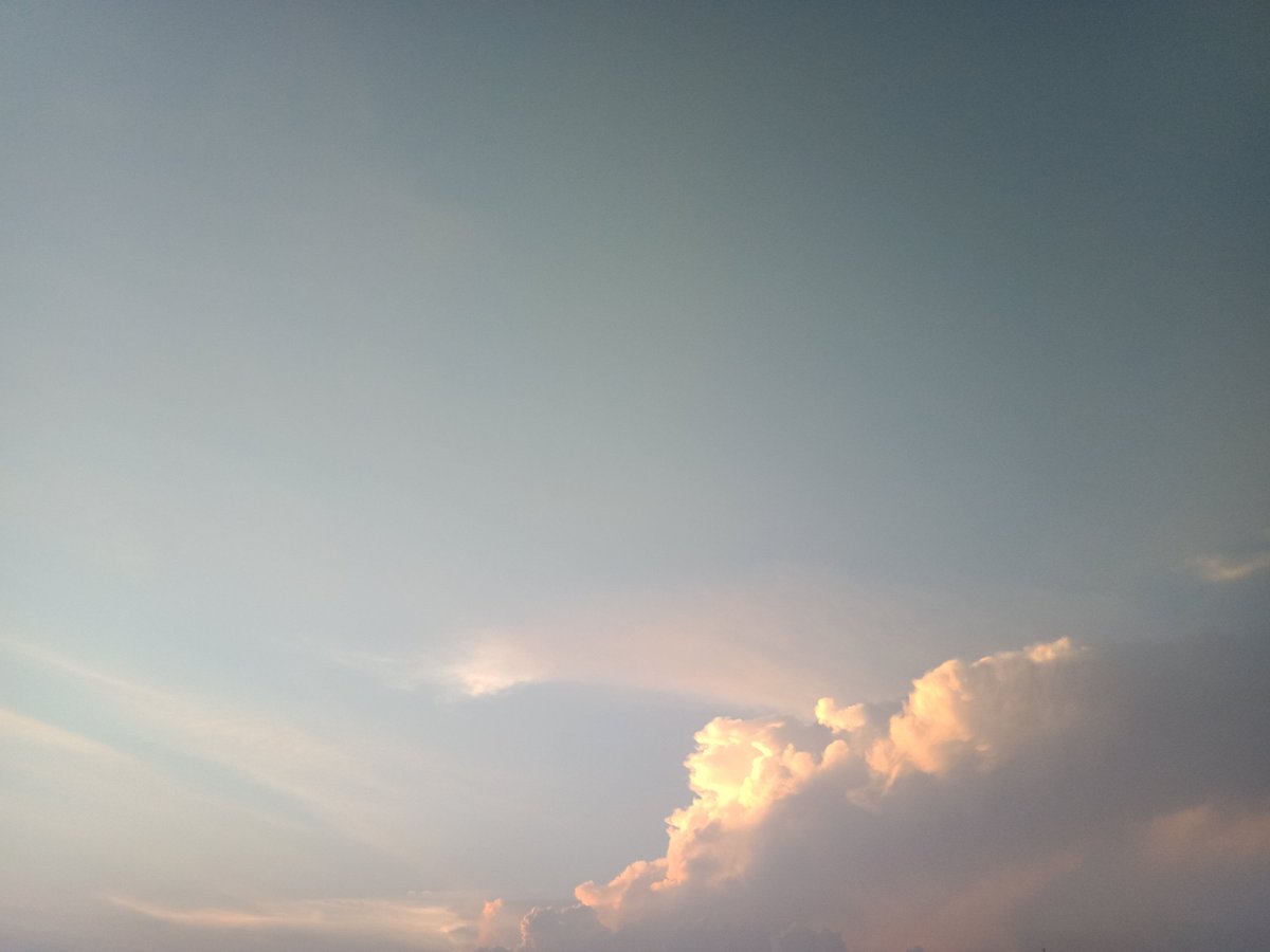 timezone____ tweet picture