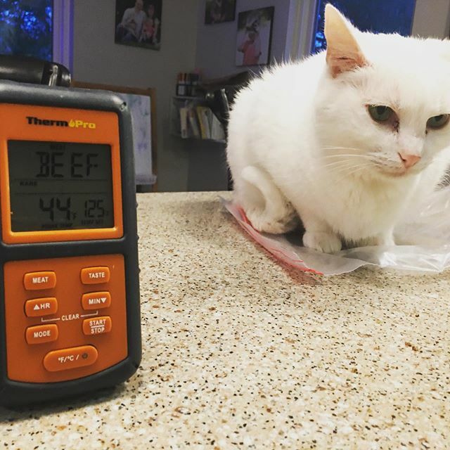 Long way to go and a short time to get there... #xmasroast ift.tt/35YRdoG