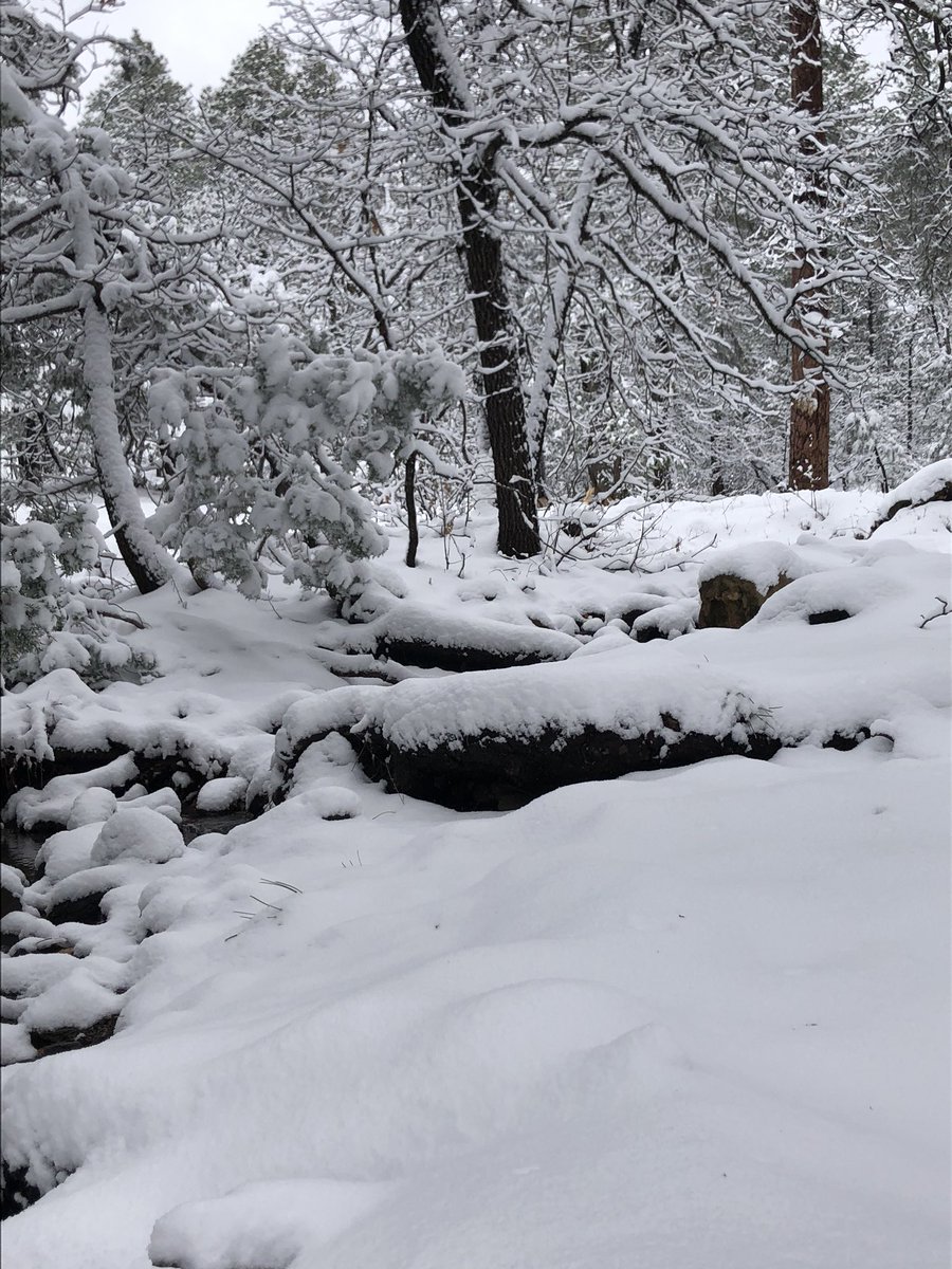 Snow in payson AZ  <a href="/FOX10Phoenix/">FOX 10 Phoenix</a>