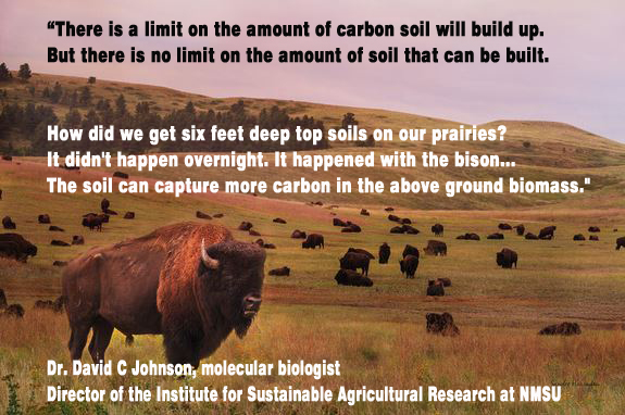 DefendingBeef's tweet photo. More soil can b built 2 capture more carbon...ruminants built much of our existing soils. https://t.co/X50vY7o1aw