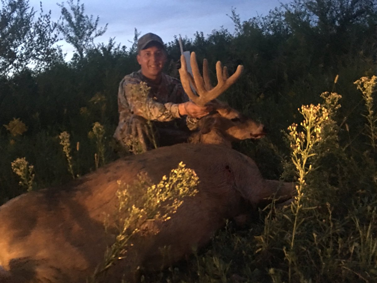 MavBucks's tweet photo. 2019 was a great year!  Smoked 2 deer over 5.5 yrs old. 163.5” in full velvet and a 178.5”. The midwest is good!  #bangingiants https://t.co/FD1gcxdNvJ