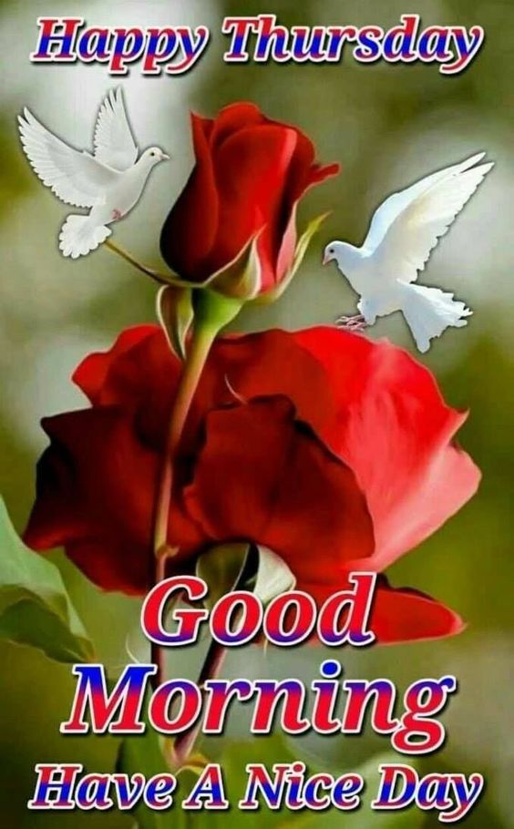 Ajit R Vaidya A On Twitter Good Morning Good Day Happy Thursday