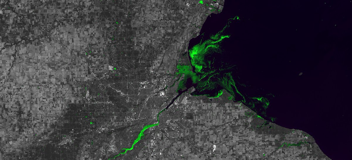 Refynarai's tweet image. Chlorophyll-A during an #algae bloom in Lake Erie near #Toledo 14th July &apos;19. #Water classifier used to convert land to grey-scale &amp;amp; C2RCC algorithm to accentuate the Chlorophyll #RemoteObservation #GIS