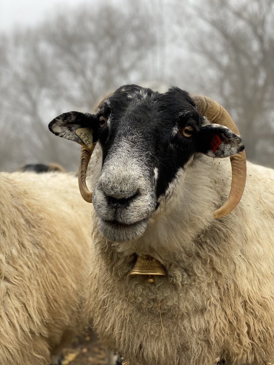 We all hope your Christmas was one to remember!!