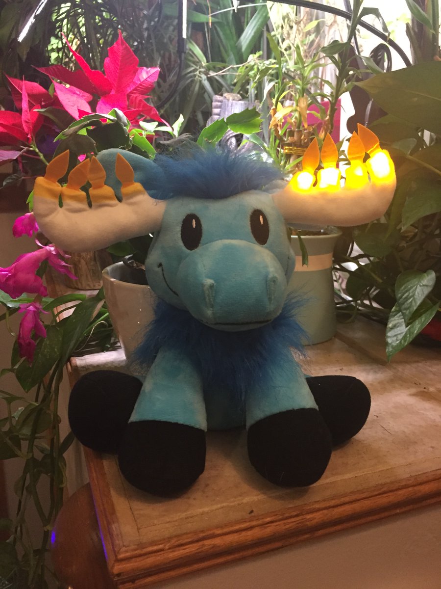 Mitzvah Moose is half lit, and I’m not far behind.