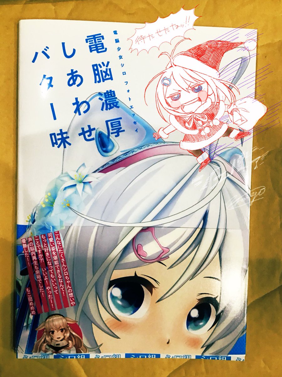 1日遅れてクリスマスプレゼントがとどいた
まだちらっとしか見てないけど全身が写ってるページがけっこうあって絵の資料としても使えるんじゃないですか!?!? 