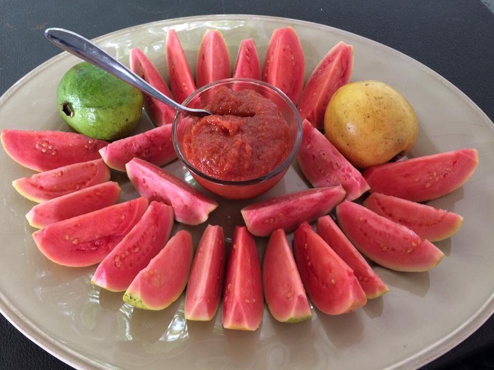 Happy Holidays from PG Tropicals &amp; Guavonia Guava Grove #RedlandRaised #RedlandGuava #FreshFromFlorida #MiamiGuava #GuavoniaGuava