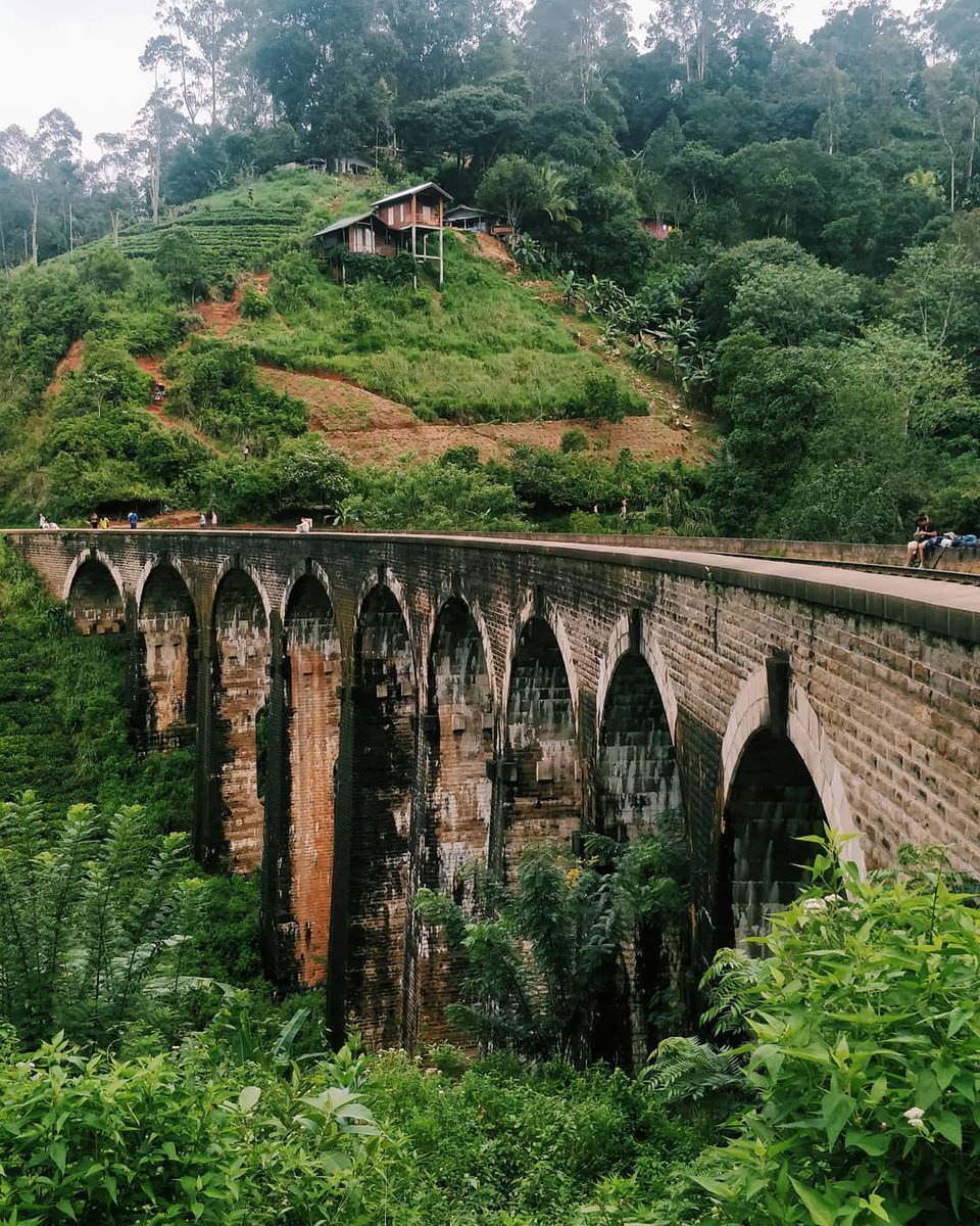 NatureSriLanka1's tweet image. Good morning #SriLanka 🤩❤️🌻
#9RB 🙈